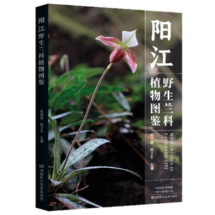 阳江野生兰科植物图鉴 陈国棣 陈又生 广东省兰科植物图鉴书籍 小叶兜兰硬叶兜兰独占春肉果兰深圳香荚兰识别鉴赏指南
