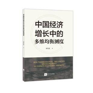 中国经济增长中 经济书籍 多维均衡测度刘雪晨