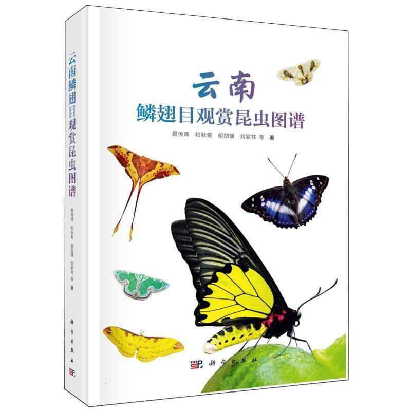 云南鳞翅目观赏昆虫图谱9787030856838 易传辉等科学出版社图书 书籍