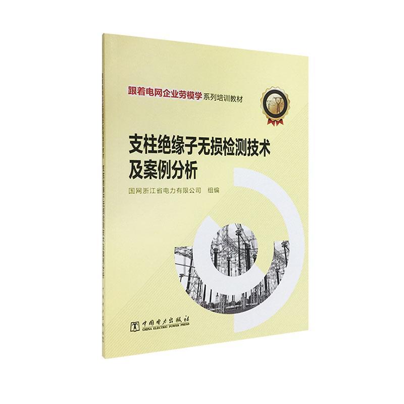 支柱绝缘子无损检测技术及案例分析(跟着电网企业劳模学系列培训  