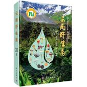 云南野生菌杨祝良 自然科学书籍