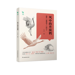 地记录了丹顶鹤 生活 多维度地展现了丹顶鹤 风中 行为 相伴湿地仙子 丹顶鹤 日子景式 种群特性 隐秘世界江苏凤凰