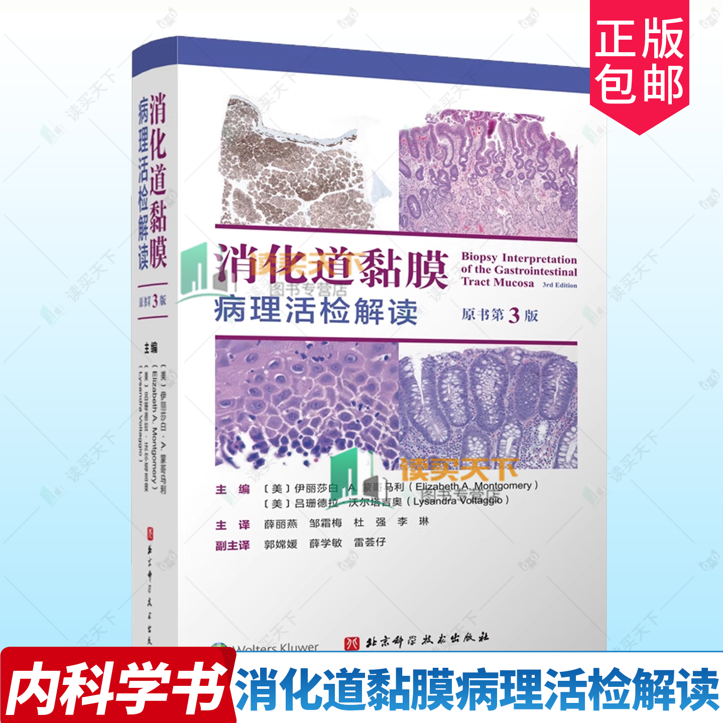 消化道黏膜病理活检解读 原书第3版三版 伊丽莎白A蒙哥马利 食管胃小肠大肠及肛门常见的黏膜活检病理识别病变特征 北京科学技术