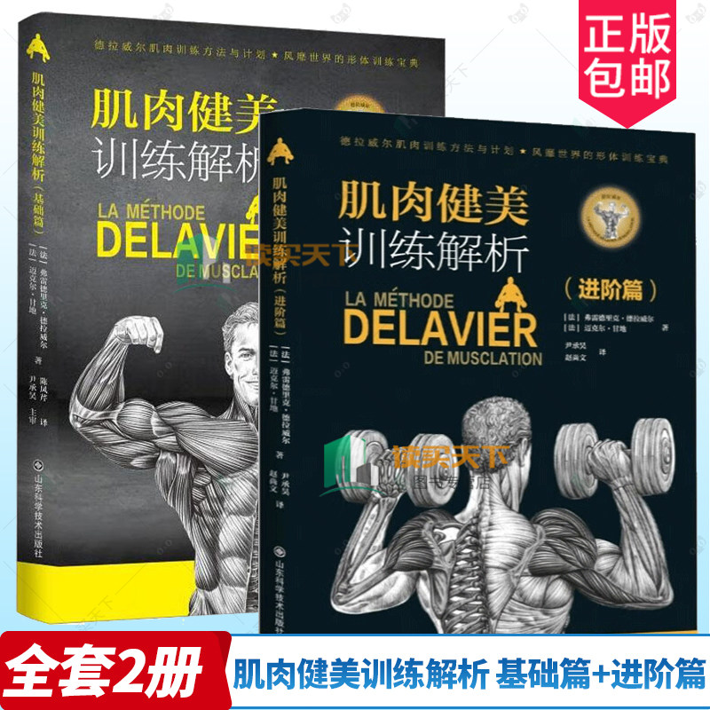 肌肉健美训练解析基础篇+进阶篇