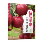 精品苹果生产关键技术王田利 林业书籍 农业