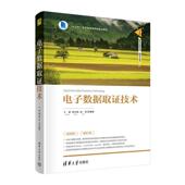 电子数据取证技术王群 法律书籍