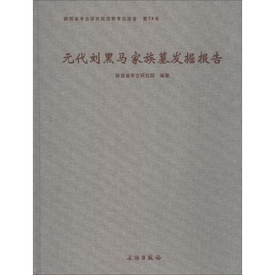 元代刘黑马家族墓发掘报告陕西省考古研究院 元墓发掘报告长安区历史书籍