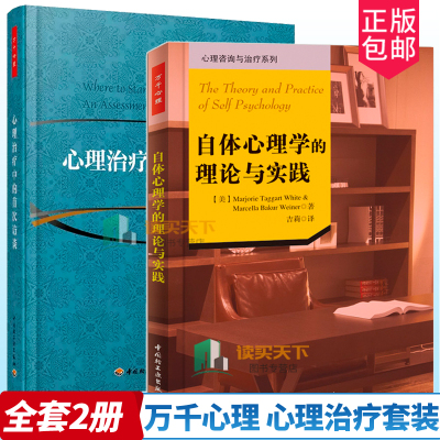 自体心理学的理论与实践