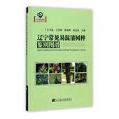 林业 正版 书凯忠彬陈清霖陈孟涤 辽宁常见易混淆树种鉴别图谱 书籍排行榜 包邮
