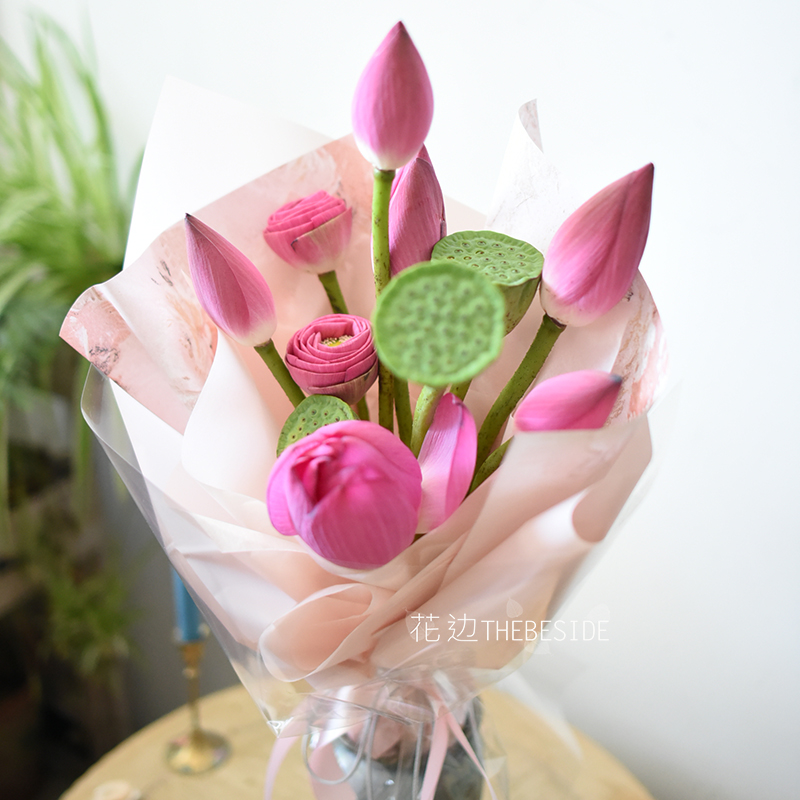 亭亭荷花莲蓬清爽夏日北京