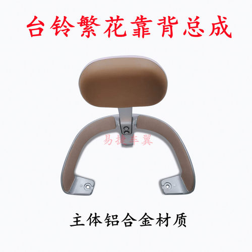 台铃电动车繁花后靠背总成后扶手