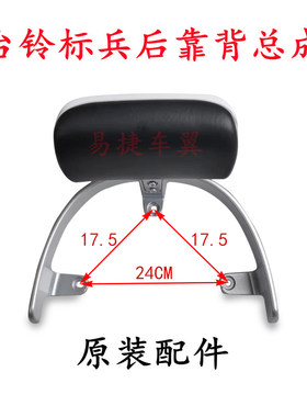 台铃电动车标兵后扶手靠背总成