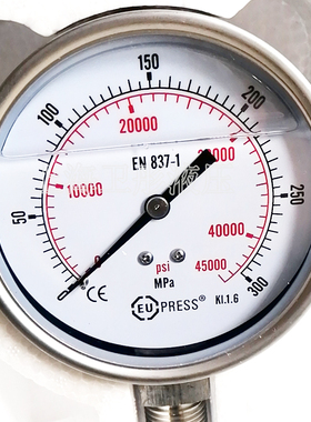 EUPRESS 300MPa 不锈钢 超高压压力表 耐震压力表 质量可靠