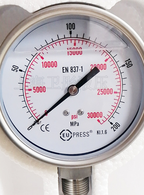 EUPRESS耐震超高压压力表 200MPa 径向 不锈钢压力表