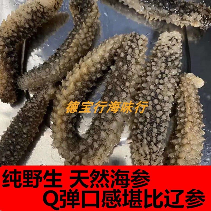深海印尼黑刺黄参 米刺参500g包邮海参干货水产 散装淡小刺参