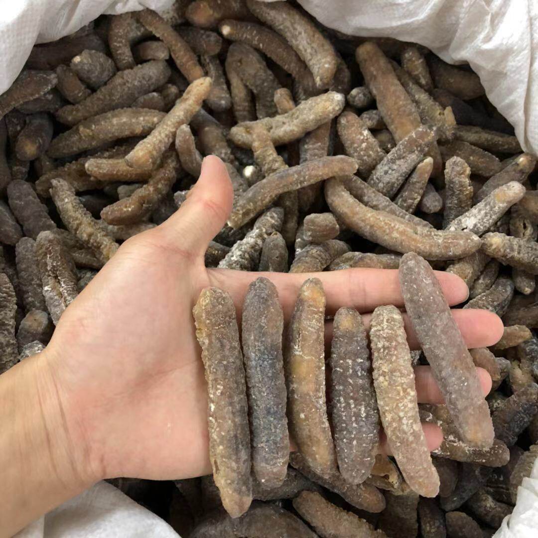 澳洲参500克沙秃刺参 明秃淡干海参30头非辽参包邮