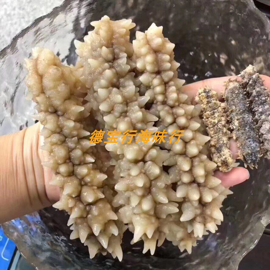 印尼黑刺王参 精选黄金刺参 澳洲黑刺参 淡干深海参干货250g