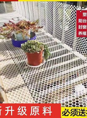加厚塑料网格阳台窗户防护坠落网封窗围栏网养殖漏粪网防猫隔离网
