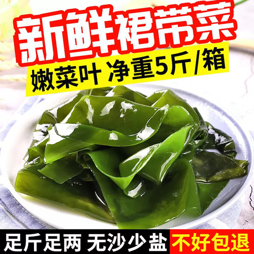 25年新鲜裙带菜5斤整箱海带丝苗儿童嫩芽新鲜盐渍白菜非干货商用