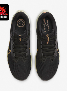 Nike/耐克正品Pegasus 40飞马男士公路缓震跑步鞋HF0732-070