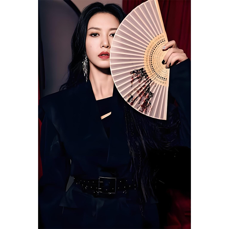 谭维维高清超大海报定制墙贴写真相纸挂画无框画乌龟的阿基里斯