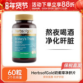 Herbs Gold和丽康奶蓟草肝健康片35000水飞蓟净肝片熬夜60粒