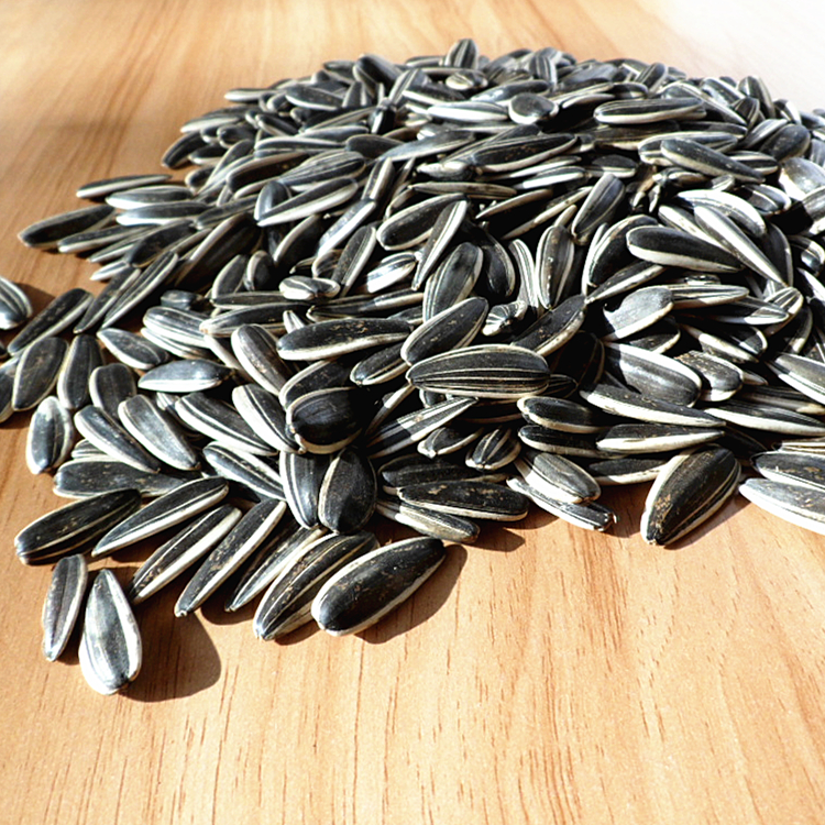 内蒙古瓜子葵花子新货葵花籽原味