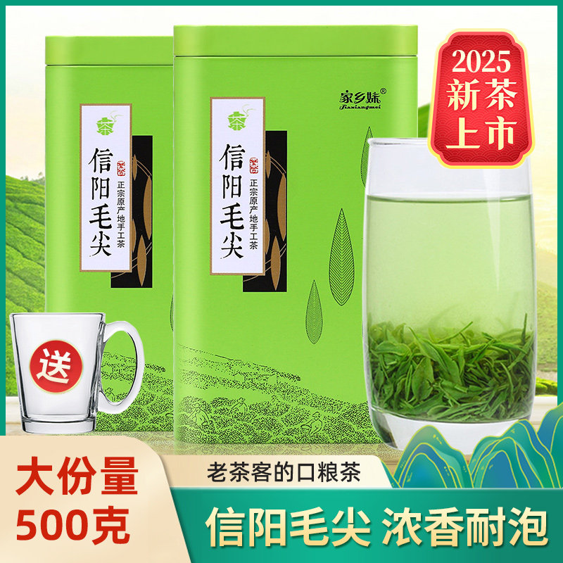 信阳毛尖2025新茶浓香型500g春茶