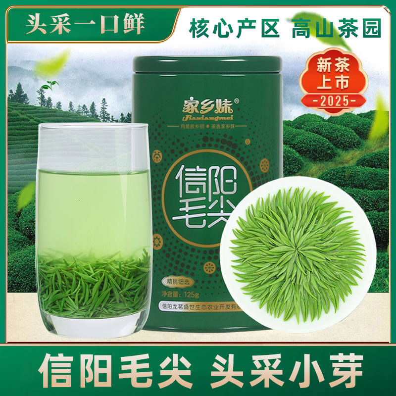 信阳毛尖2025新茶叶绿茶明前开园头采春茶特级小嫩芽散装125g
