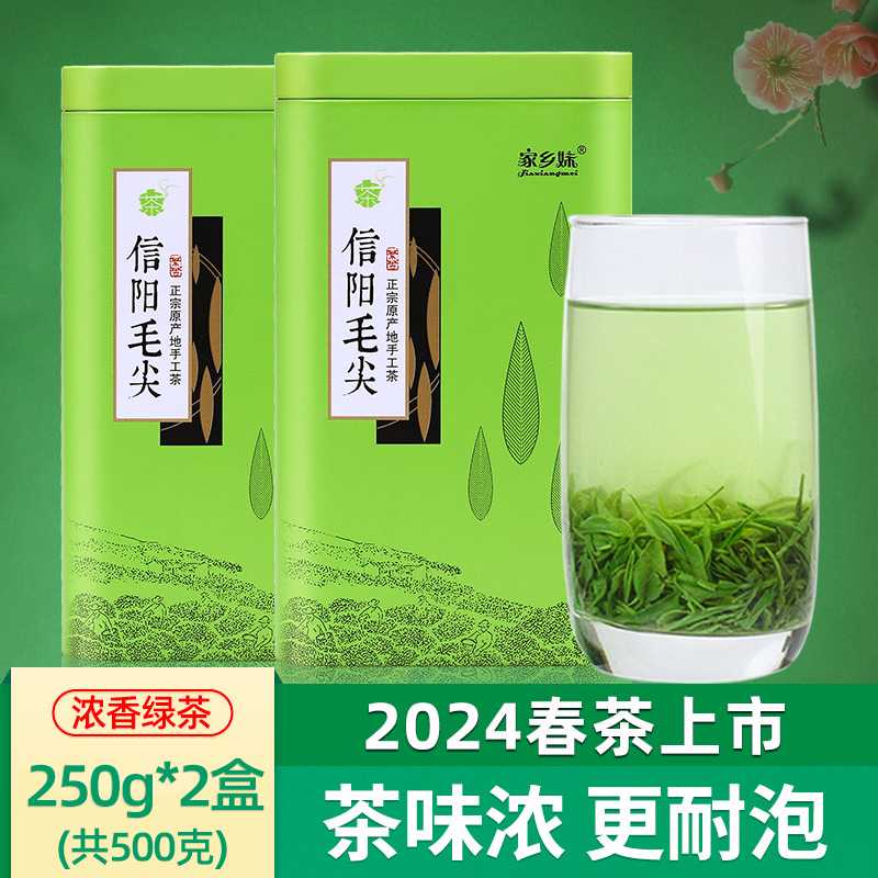 家乡妹茶叶2024新茶信阳毛尖雨前春茶高山绿茶手工浓香型散装500g