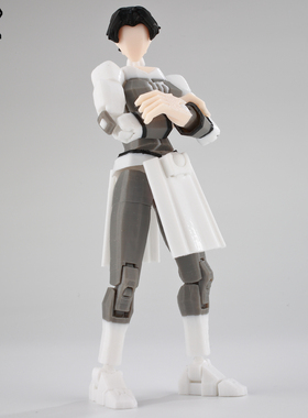 9L3D安妮莎多关节可动人偶无敌少侠战争汽车桌面机箱摆件潮玩手办