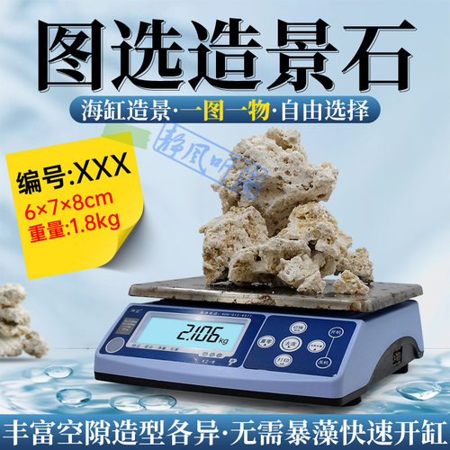 纯净死石 单独图选 印尼爪哇岛干岩石 海缸造景石替代活石免暴藻