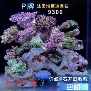 P牌培菌造景石9306 0523片石免暴藻送sps货缸原水含海量菌种 9008