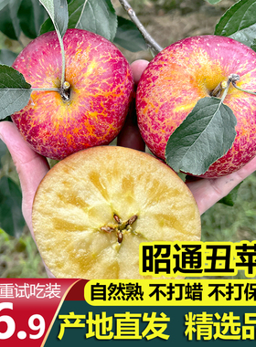 2025云南昭通市糖心丑苹果红富士水果新鲜当季整箱冰糖心基地直销