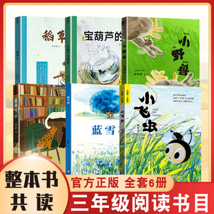 小飞虫 三年级阅读书籍儿童文学故事书 秘密 全套六本 三年级课外阅读书目 小野兽 蓝雪花 拐角书店 稻草人 宝葫芦 整本书共读