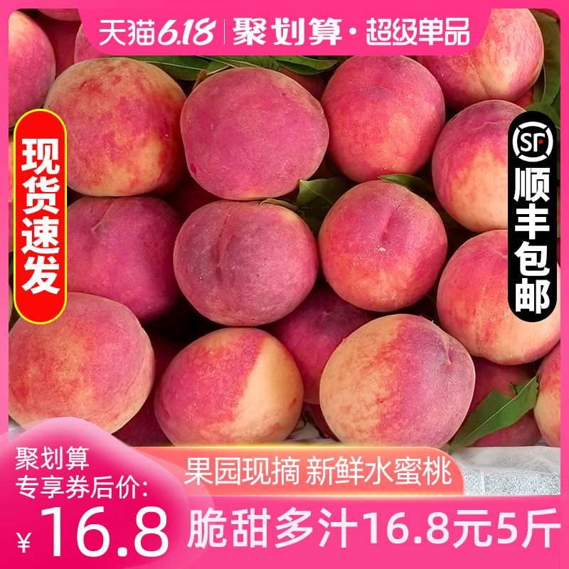 顺丰包邮 现摘水蜜桃子新鲜水果精品大果5斤包邮当季时令脆桃子甜