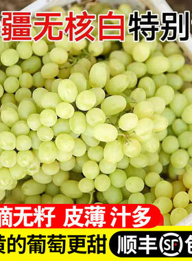 顺丰包邮新疆无核白葡萄