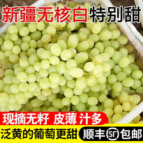 顺丰包邮新疆无核白葡萄