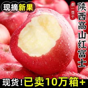 陕西红富士苹果9斤水果新鲜当季 丑萍果整箱平果大脆甜一级冰糖心