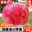 包邮 陕西洛川苹果水果新鲜当季 整箱正宗红富士冰糖心一级脆甜10斤