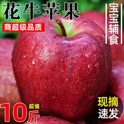 【热卖推荐】正宗天水花牛苹果