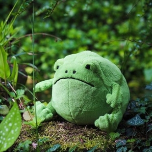rain 雨蛙球蛙Ricky Jellycat新品 frog青蛙悲伤蛙 现货