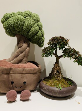 【现货】jELLYCAT英国2022年新品趣味盆景树Bonsai Tree玩偶毛绒