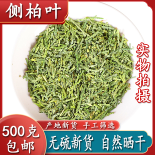 侧柏叶洗头干柏树叶子做煮水洗头用扁柏叶少白头沂蒙山新货侧伯叶