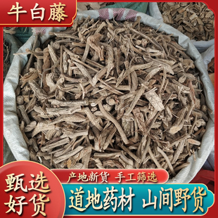 中药材牛白藤 癍痧藤大叶龙胆土加藤凉茶藤 山甘草脚白藤接骨丹