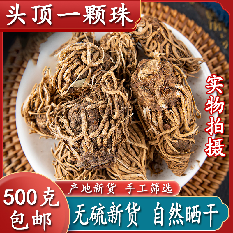 头顶一颗珠中药材 芋儿七 蛇头草 蜂斗菜 狮儿七 玉儿七 佛手七