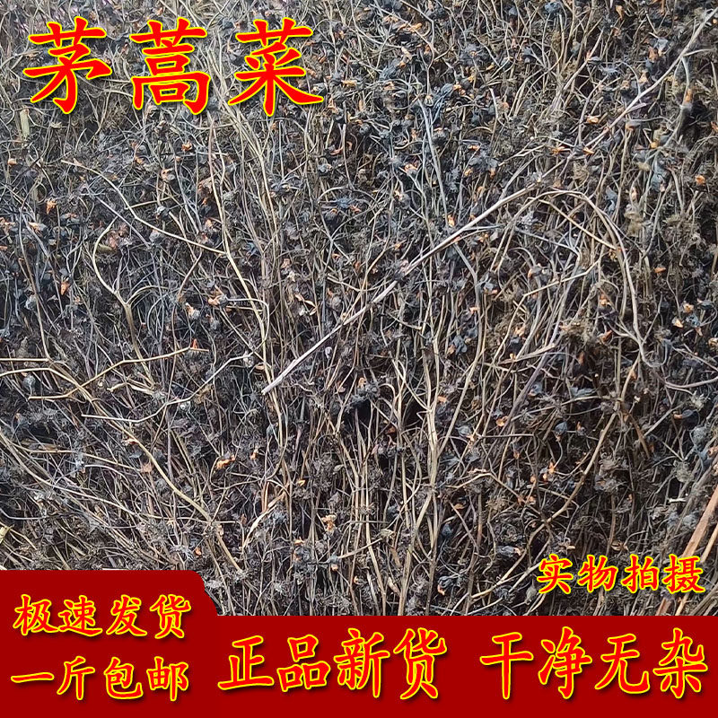中药材茅膏菜 茅蒿菜一粒金丹流泪草毛膏菜落地珍珠草包邮