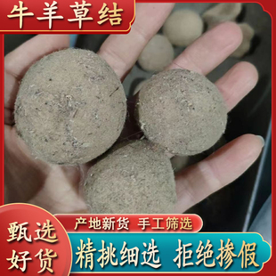 中药材牛羊草结 西格格羊草结羊胲子 百草丹 草结羊哀50克包邮