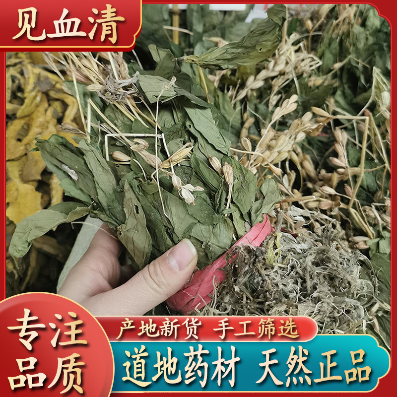 正品见血清草药中药材天然500g中草药新鲜干货整颗见血清苗羊耳蒜