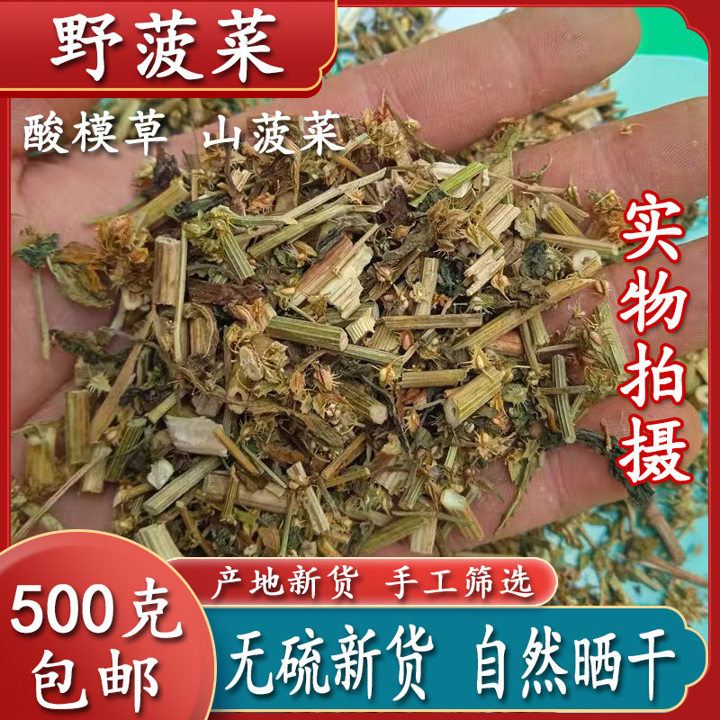 中药材酸模草 山菠菜 野菠菜 酸溜溜 牛舌头棵 水牛舌头 500克